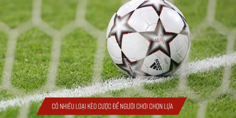 Có nhiều loại kèo cược để người chơi chọn lựa