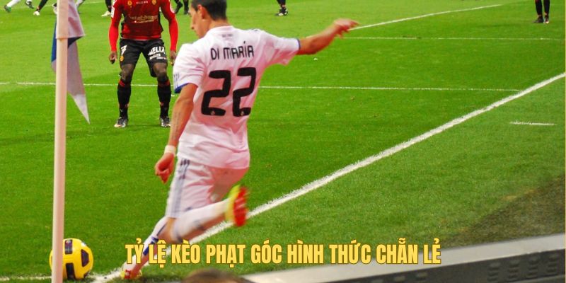 Hình thức chẵn lẻ được nhiều tín đồ yêu thích