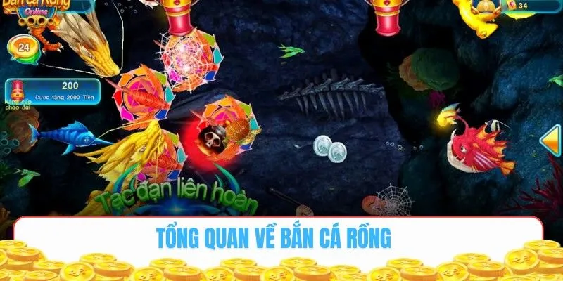 Tổng quan về bắn cá rồng